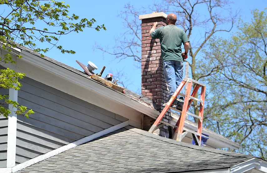 Chimney & Fireplace Inspections Services in Elko, NV